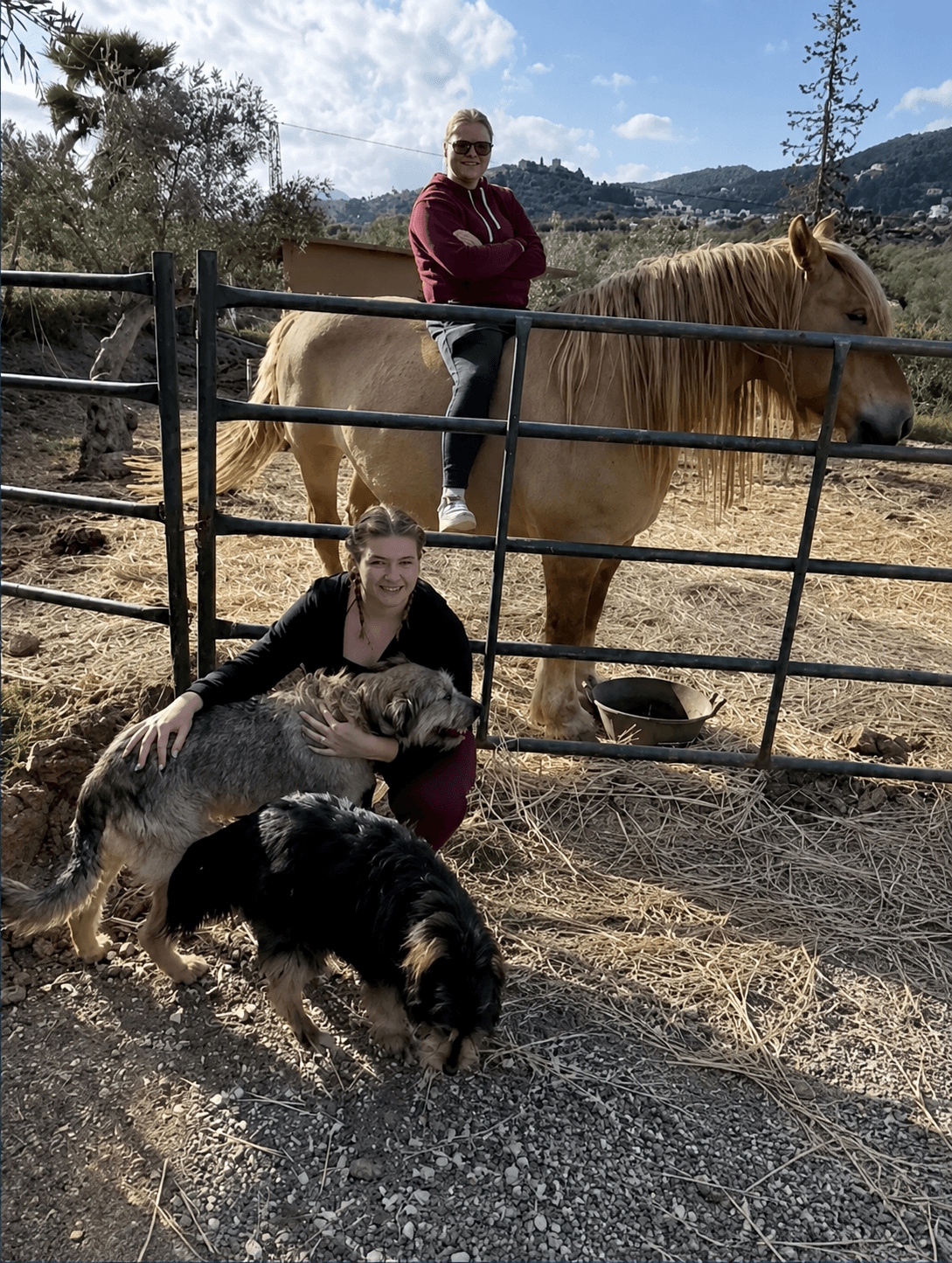 Diana with rescued animals at the Cumplesueños sanctuary