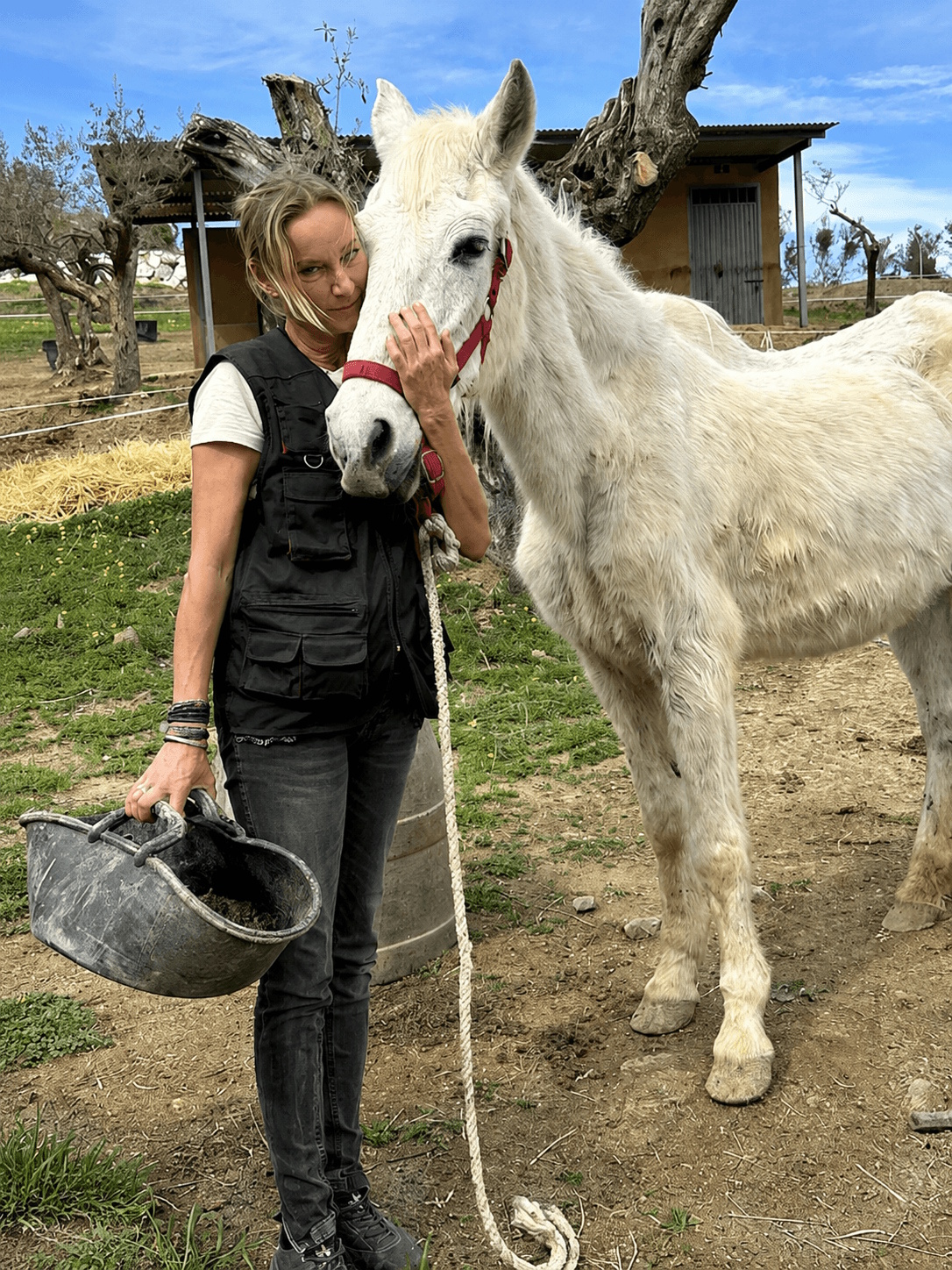 Diana standing with a white horse at the sanctuary